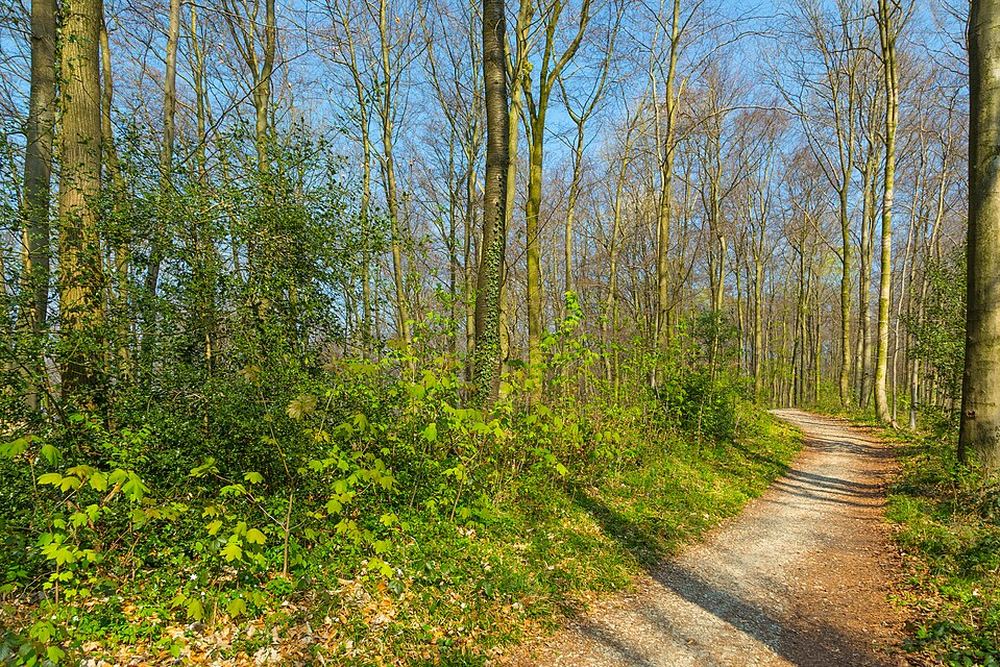 Trailgebied Teutoburgerwald